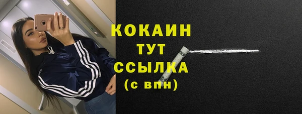 дживик Богданович
