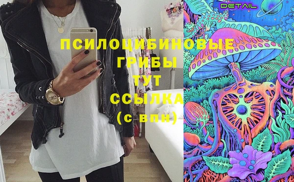 дживик Богданович