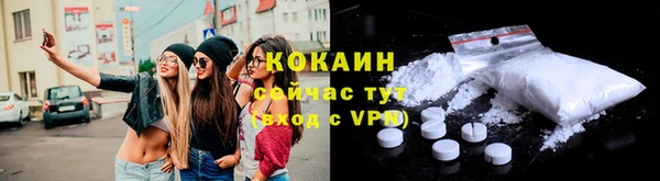 прущие грибы Богородицк