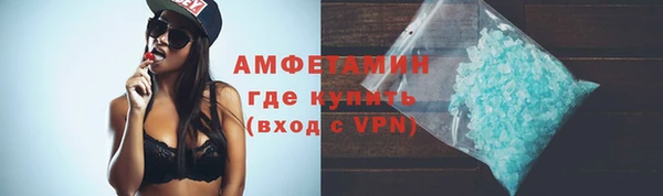 прущие грибы Богородицк