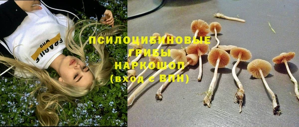 дживик Богданович