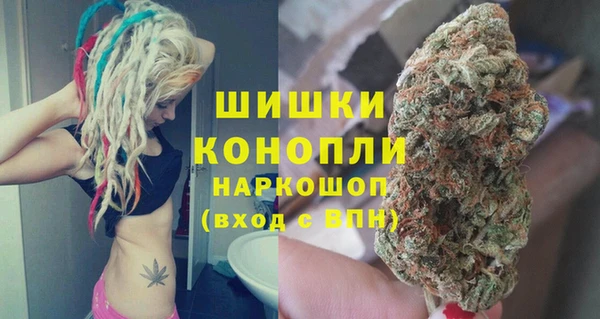 прущие грибы Богородицк