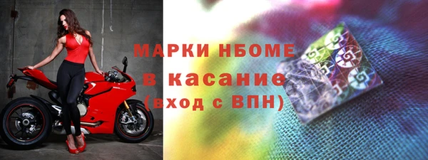прущие грибы Богородицк