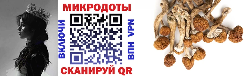 Псилоцибиновые грибы Psilocybe Светлый